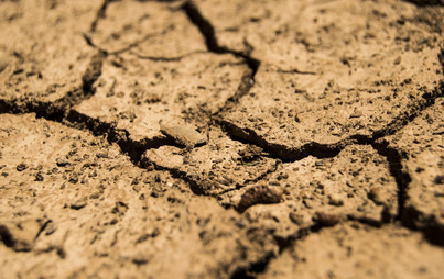 Zdjęcie do Wnioski o szacowanie strat w uprawach rolnych spowodowanych suszą